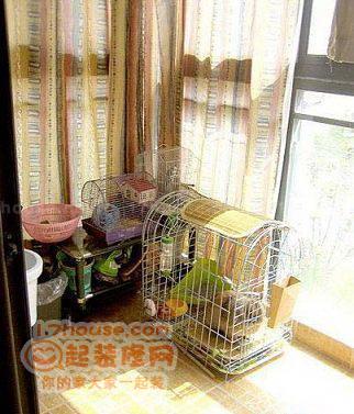 悟空彩票los特色可靠